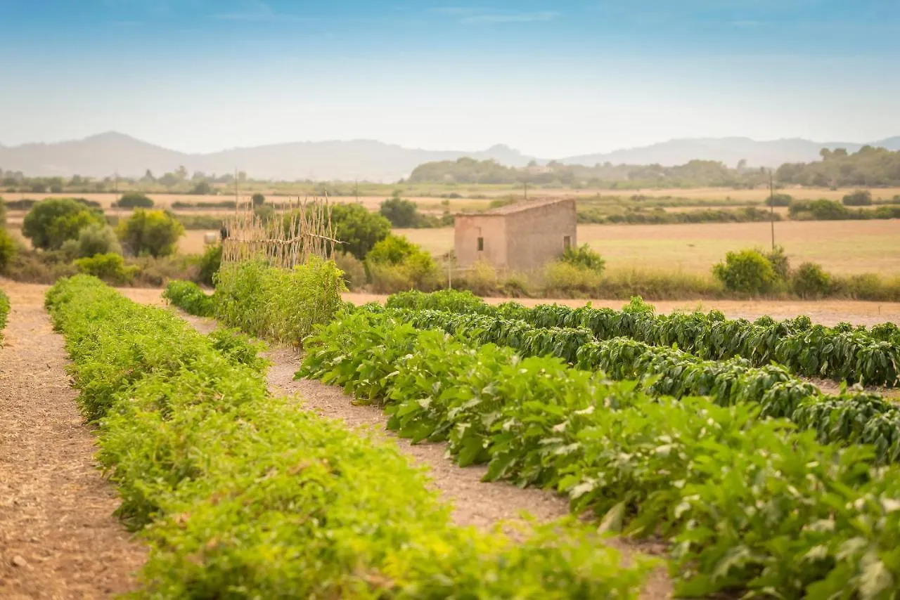 Finca Son Roig Porreres