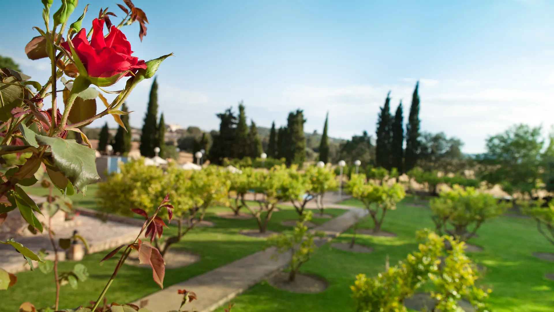 Finca Son Roig Porreres Hotel