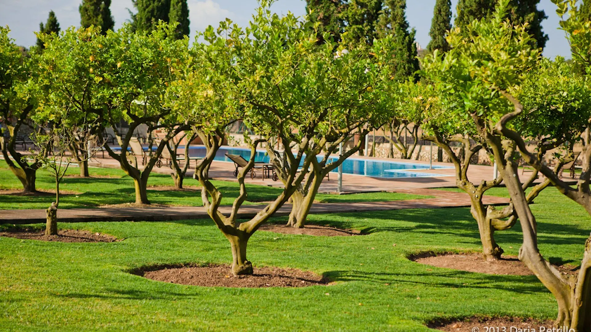Finca Son Roig Porreres Hotel
